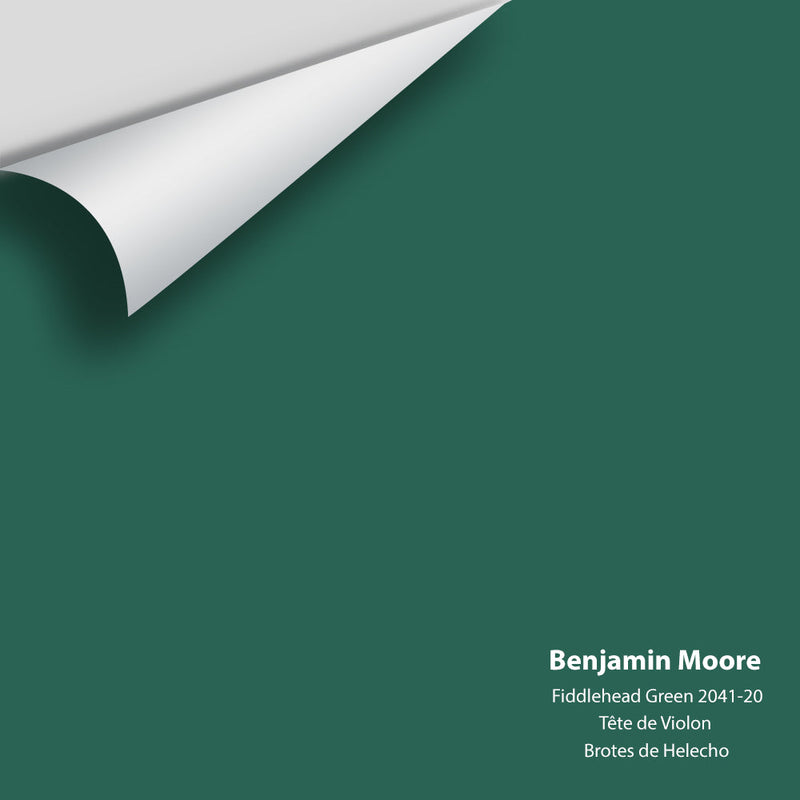 Benjamin Moore - Fiddlehead Green 2041-20 Peel & Stick Color Sample