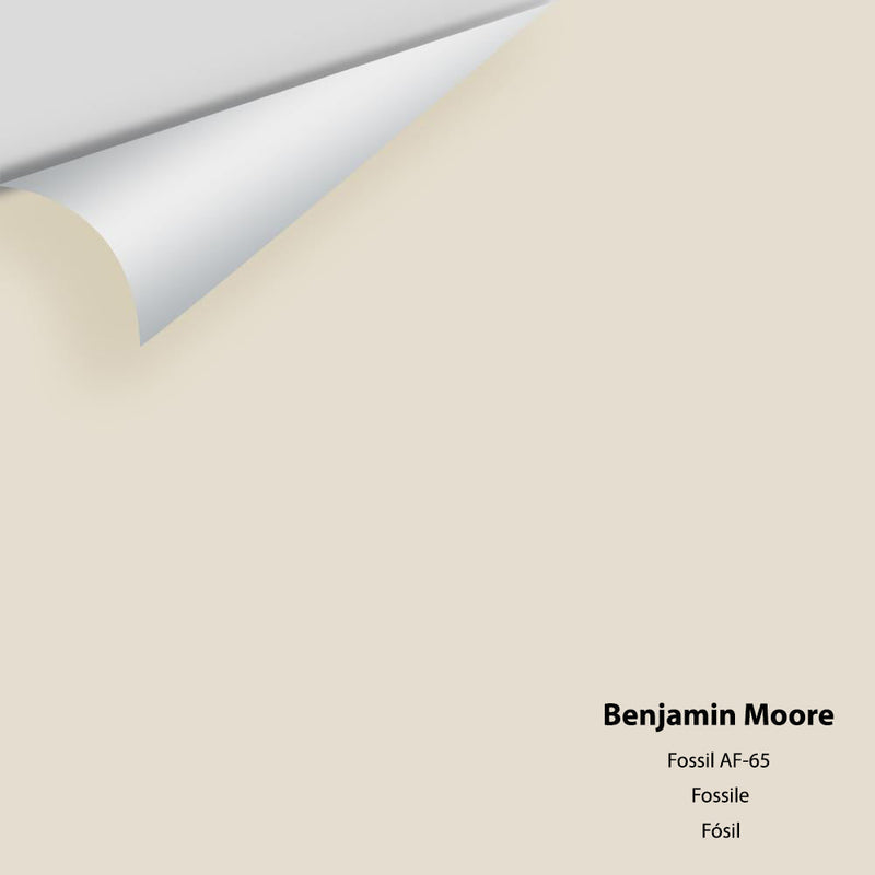 Benjamin Moore - Fossil AF-65 Peel & Stick Color Sample