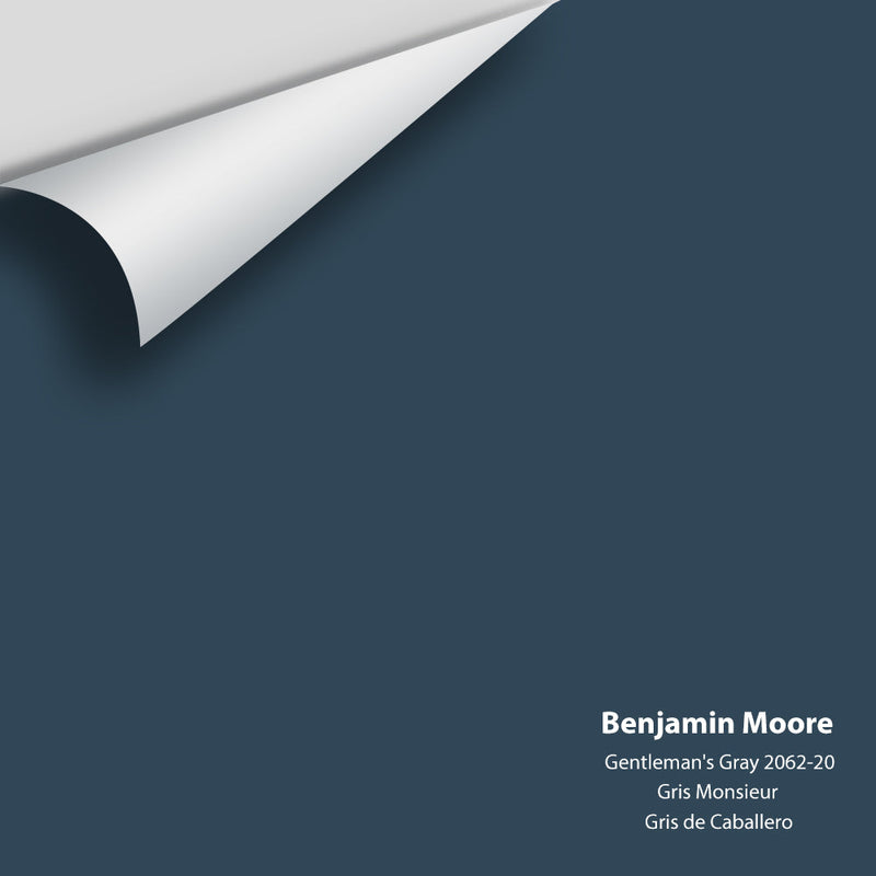 Benjamin Moore - Gentleman's Gray 2062-20 Peel & Stick Color Sample