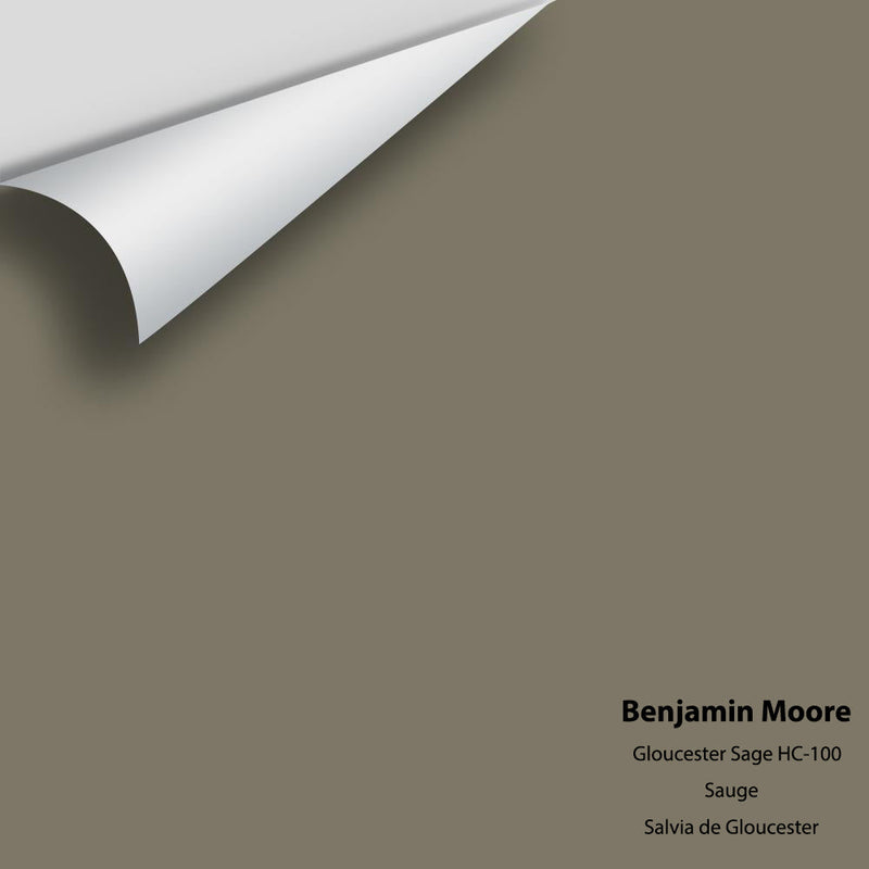 Benjamin Moore - Gloucester Sage HC-100 Peel & Stick Color Sample