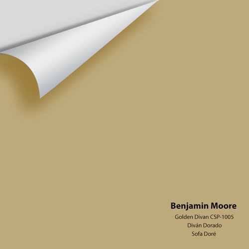 Benjamin Moore - Golden Divan CSP-1005 Peel & Stick Color Sample