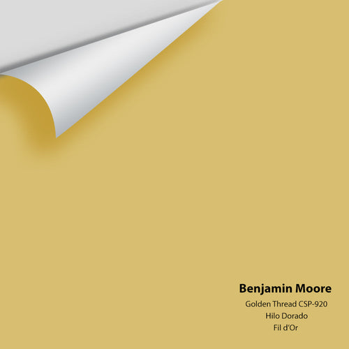 Benjamin Moore - Golden Thread CSP-920 Peel & Stick Color Sample