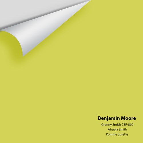 Benjamin Moore - Granny Smith CSP-860 Peel & Stick Color Sample