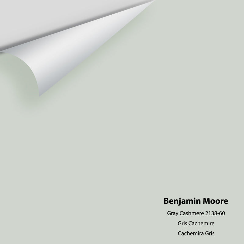 Benjamin Moore - Gray Cashmere 2138-60 Peel & Stick Color Sample