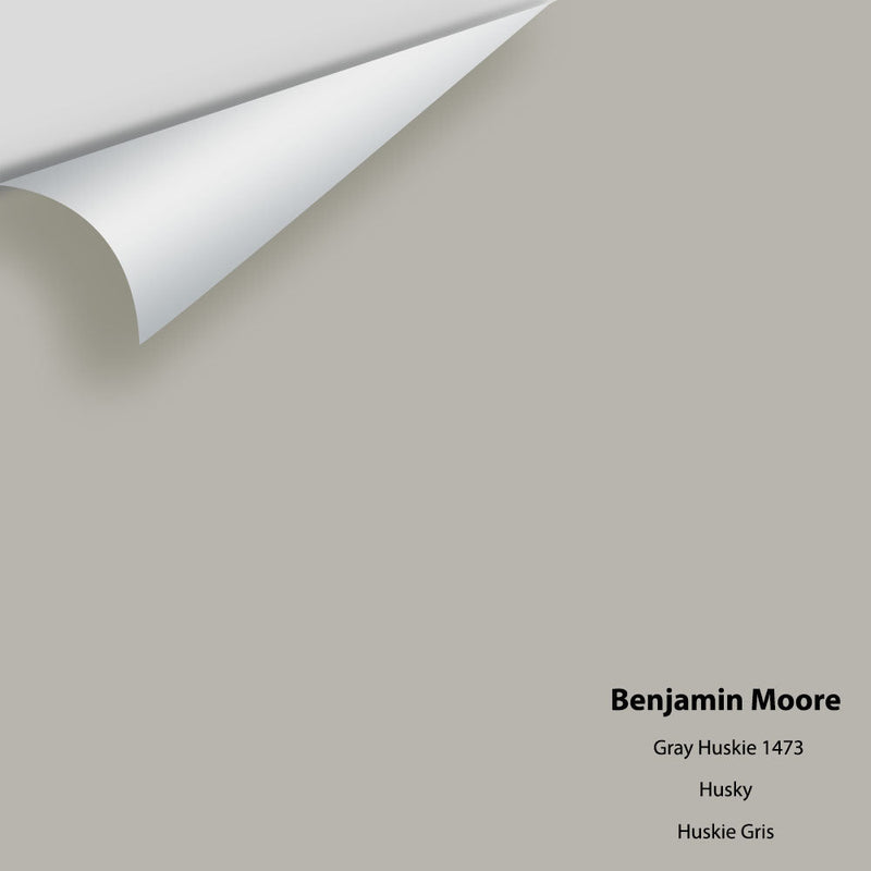 Benjamin Moore - Gray Huskie 1473 Peel & Stick Color Sample