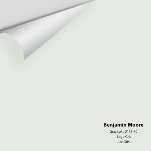 Benjamin Moore - Gray Lake 2138-70 Peel & Stick Color Sample