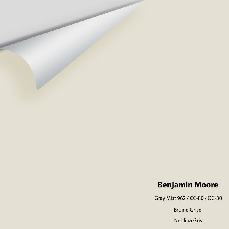 Benjamin Moore - Gray Mist 962/CC-80/OC-30 Peel & Stick Color Sample