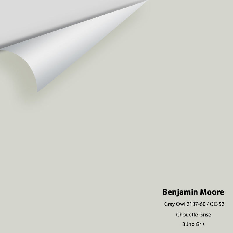 Benjamin Moore - Gray Owl 2137-60/OC-52 Peel & Stick Color Sample