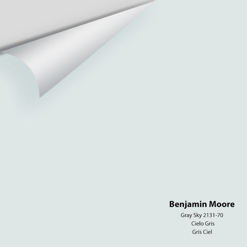 Benjamin Moore - Gray Sky 2131-70 Peel & Stick Color Sample