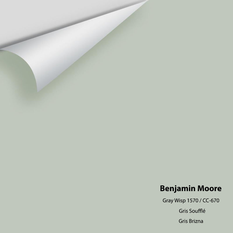 Benjamin Moore - Gray Wisp 1570/CC-670 Peel & Stick Color Sample