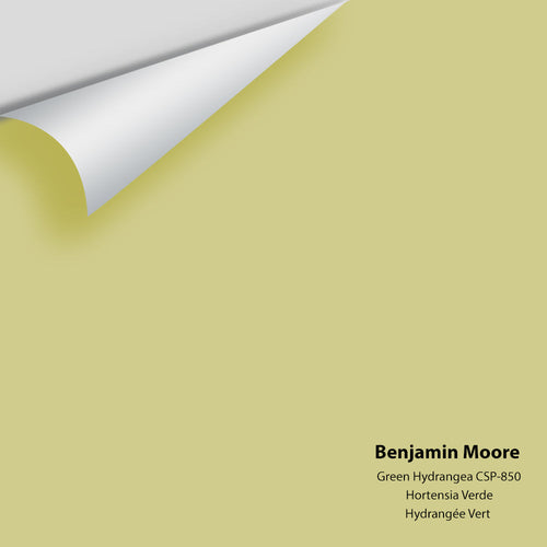 Benjamin Moore - Green Hydrangea CSP-850 Peel & Stick Color Sample