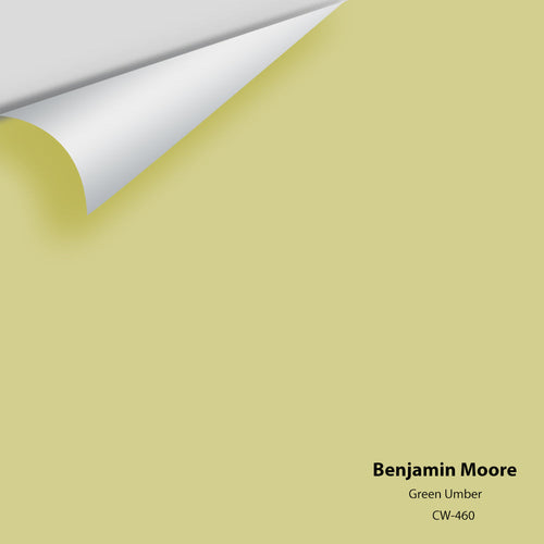 Benjamin Moore - Green Umber CW-460 Peel & Stick Color Sample