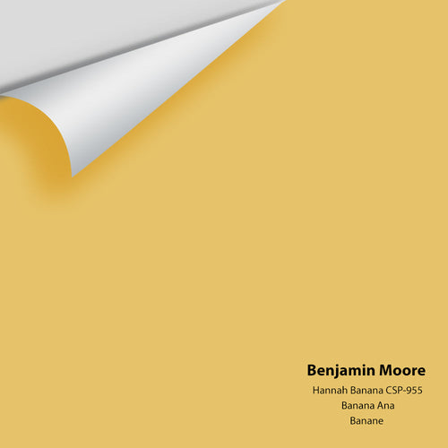 Benjamin Moore - Hannah Banana CSP-955 Peel & Stick Color Sample