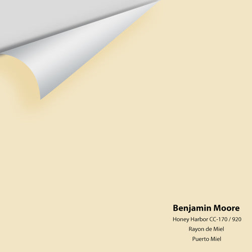 Benjamin Moore - Honey Harbor 920/CC-170 Peel & Stick Color Sample