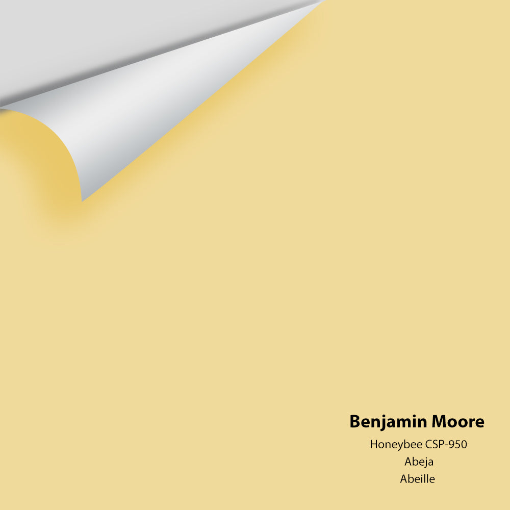 The Color House Benjamin Moore Peel Stick Paint Samples the-color-house-benjamin-moore-peel-stick-paint-samples