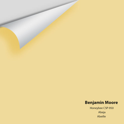 Benjamin Moore - Honeybee CSP-950 Peel & Stick Color Sample
