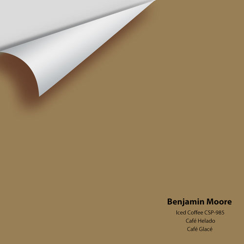 Benjamin Moore - Iced Coffee CSP-985 Peel & Stick Color Sample