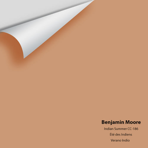 Benjamin Moore - Indian Summer CC-186 Peel & Stick Color Sample