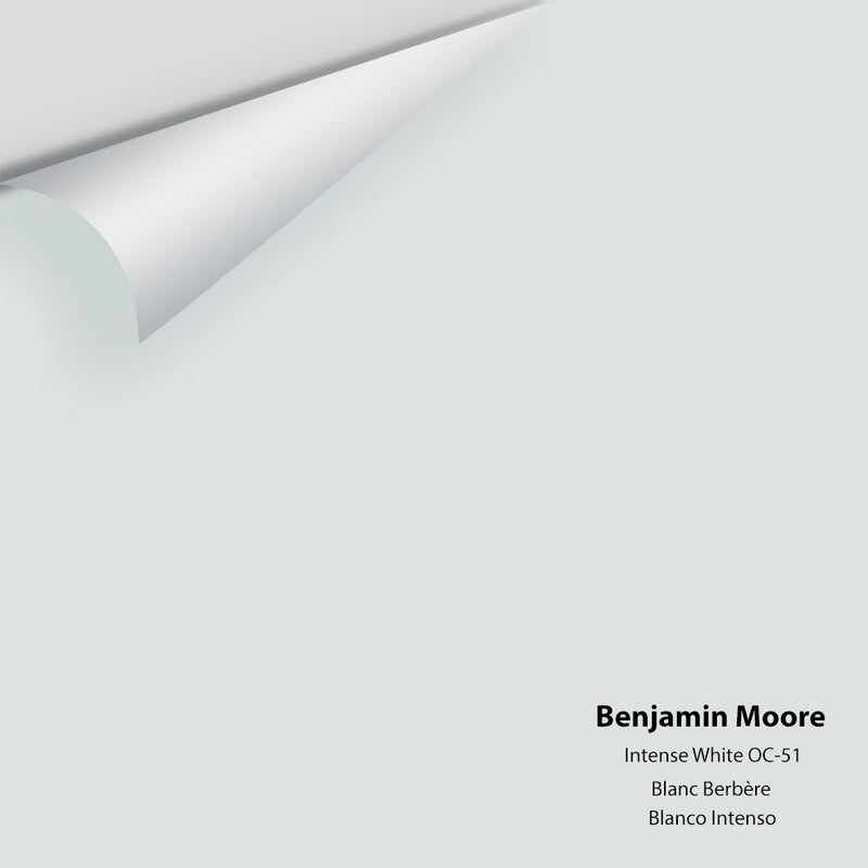 Benjamin Moore - Intense White OC-51 Peel & Stick Color Sample