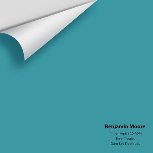 Benjamin Moore - In The Tropics CSP-640 Peel & Stick Color Sample