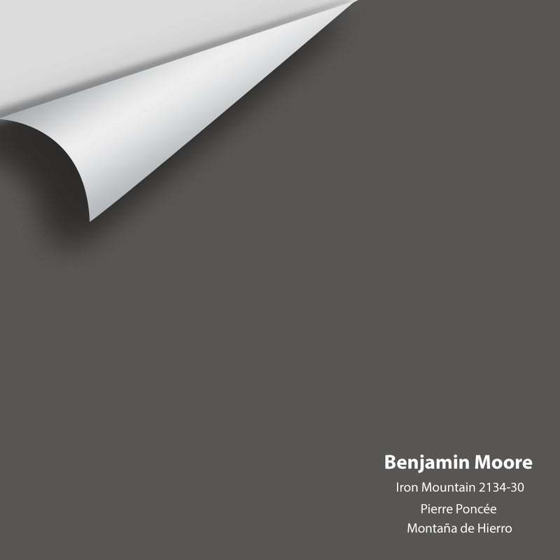 Benjamin Moore - Iron Mountain 2134-30 Peel & Stick Color Sample