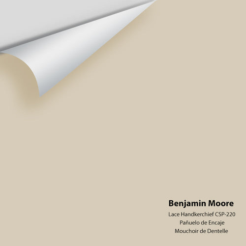 Benjamin Moore - Lace Handkerchief CSP-220 Peel & Stick Color Sample