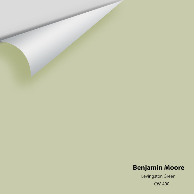 Benjamin Moore - Levingston Green CW-490 Peel & Stick Color Sample