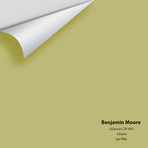 Benjamin Moore - Lilianna CSP-855 Peel & Stick Color Sample
