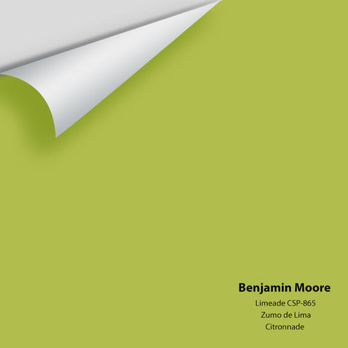 Benjamin Moore - Limeade CSP-865 Peel & Stick Color Sample
