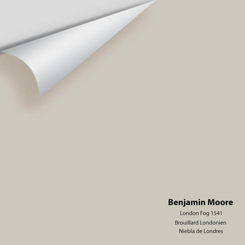 Benjamin Moore - London Fog 1541 Peel & Stick Color Sample