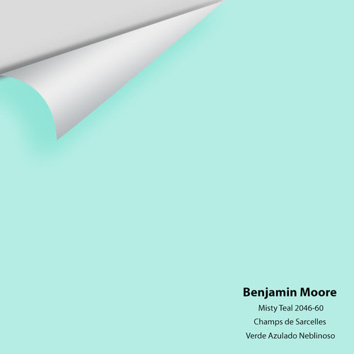 Benjamin Moore - Misty Teal 2046-60 Peel & Stick Color Sample