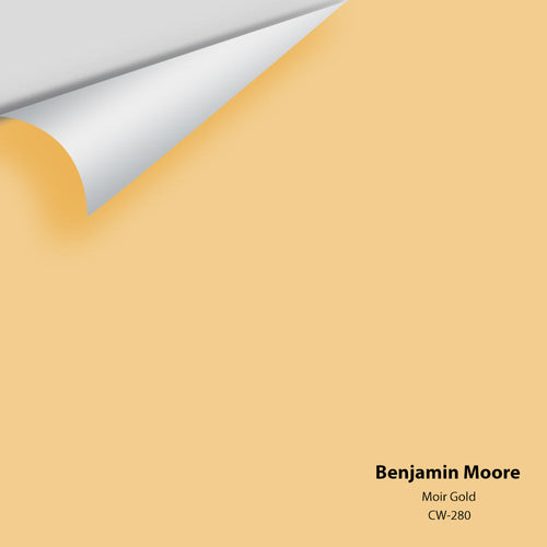 Benjamin Moore - Moir Gold CW-280 Peel & Stick Color Sample