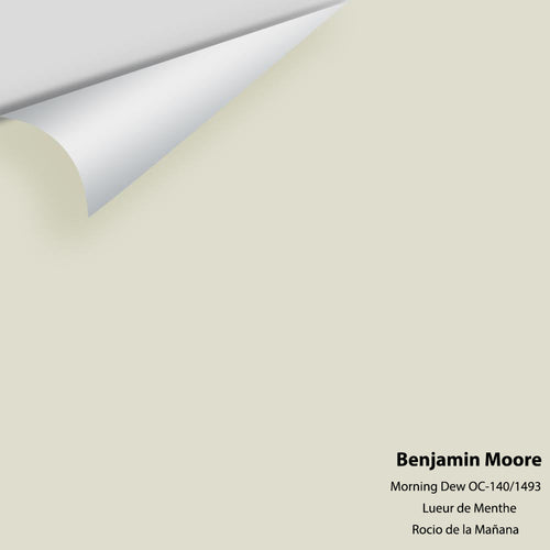 Benjamin Moore - Morning Dew 1493/OC-140 Peel & Stick Color Sample