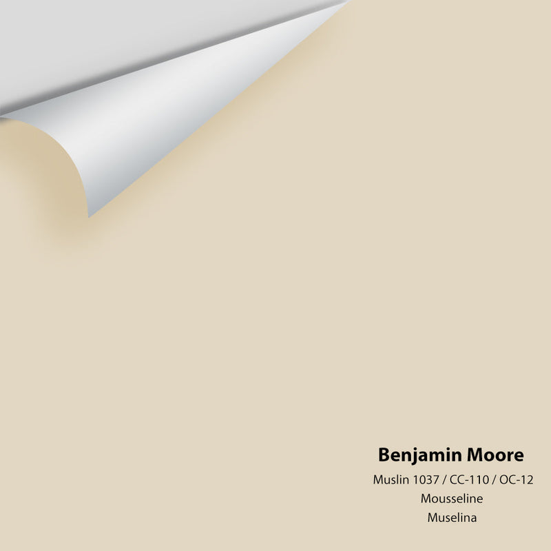 Benjamin Moore - Muslin 1037/CC-110/OC-12 Peel & Stick Color Sample