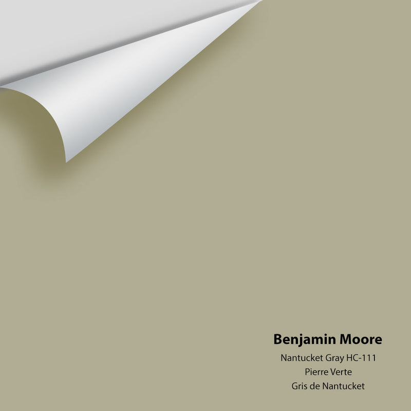 Benjamin Moore - Nantucket Gray HC-111 Peel & Stick Color Sample