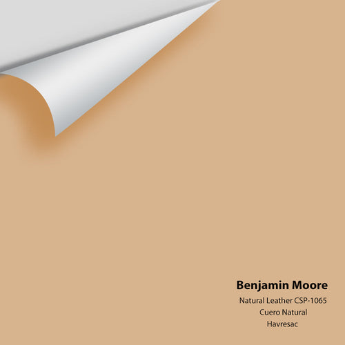 Benjamin Moore - Natural Leather CSP-1065 Peel & Stick Color Sample
