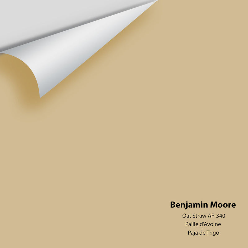Benjamin Moore - Oat Straw AF-340 Peel & Stick Color Sample