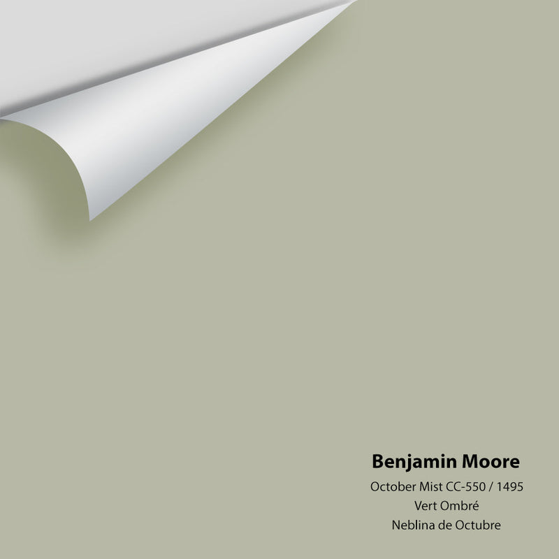 Benjamin Moore - October Mist 1495/CC-550 Peel & Stick Color Sample - Color of the Year 2022