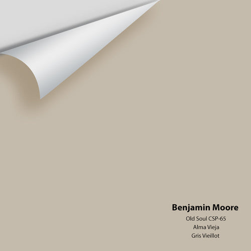 Benjamin Moore - Old Soul CSP-65 Peel & Stick Color Sample
