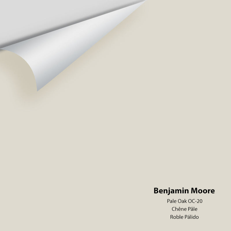 Benjamin Moore - Pale Oak OC-20 Peel & Stick Color Sample