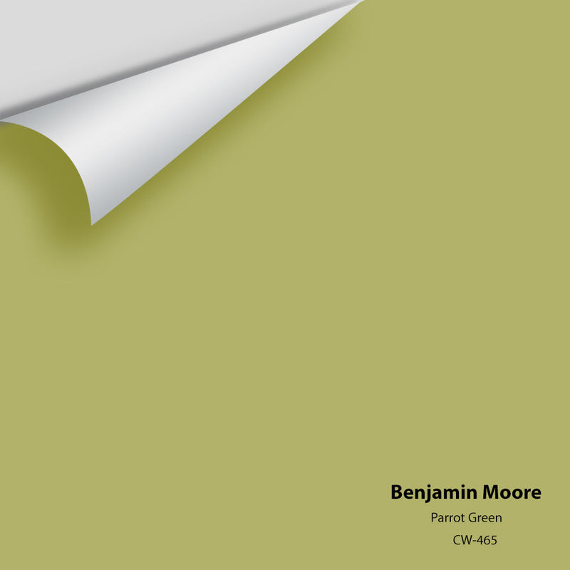 Benjamin Moore - Parrot Green CW-465 Peel & Stick Color Sample