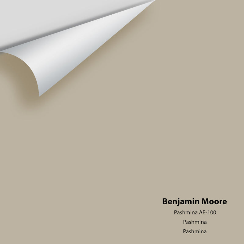 Benjamin Moore - Pashmina AF-100 Peel & Stick Color Sample