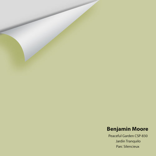 Benjamin Moore - Peaceful Garden CSP-830 Peel & Stick Color Sample