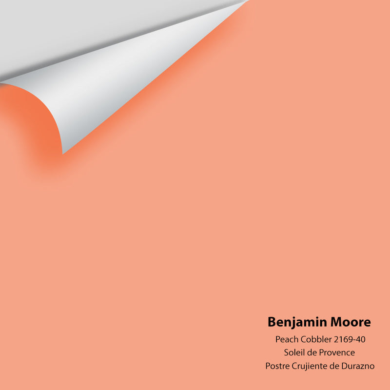 Benjamin Moore - Peach Cobbler 2169-40 Peel & Stick Color Sample