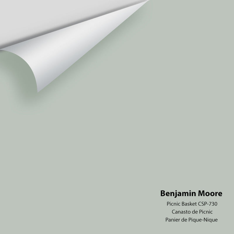 Benjamin Moore - Picnic Basket CSP-730 Peel & Stick Color Sample