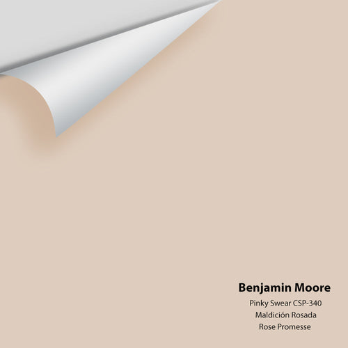 Benjamin Moore - Pinky Swear CSP-340 Peel & Stick Color Sample