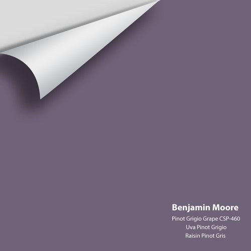 Benjamin Moore - Pinot Grigio Grape CSP-460 Peel & Stick Color Sample