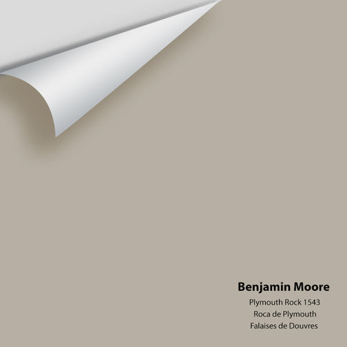 Benjamin Moore - Plymouth Rock 1543 Peel & Stick Color Sample