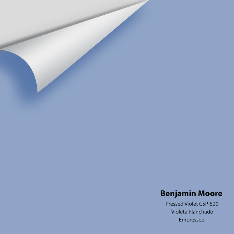 Benjamin Moore - Pressed Violet CSP-520 Peel & Stick Color Sample
