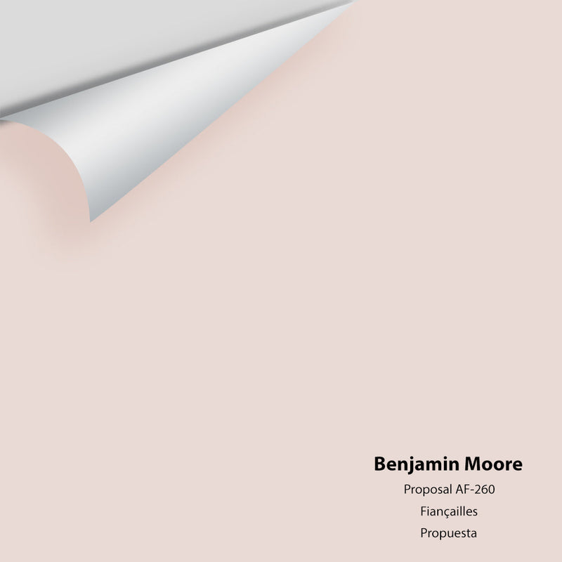Benjamin Moore - Proposal AF-260 Peel & Stick Color Sample
